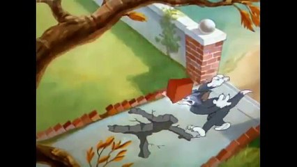 Tom and Jerry Flirty Birdy
