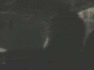 A convivial bk evening