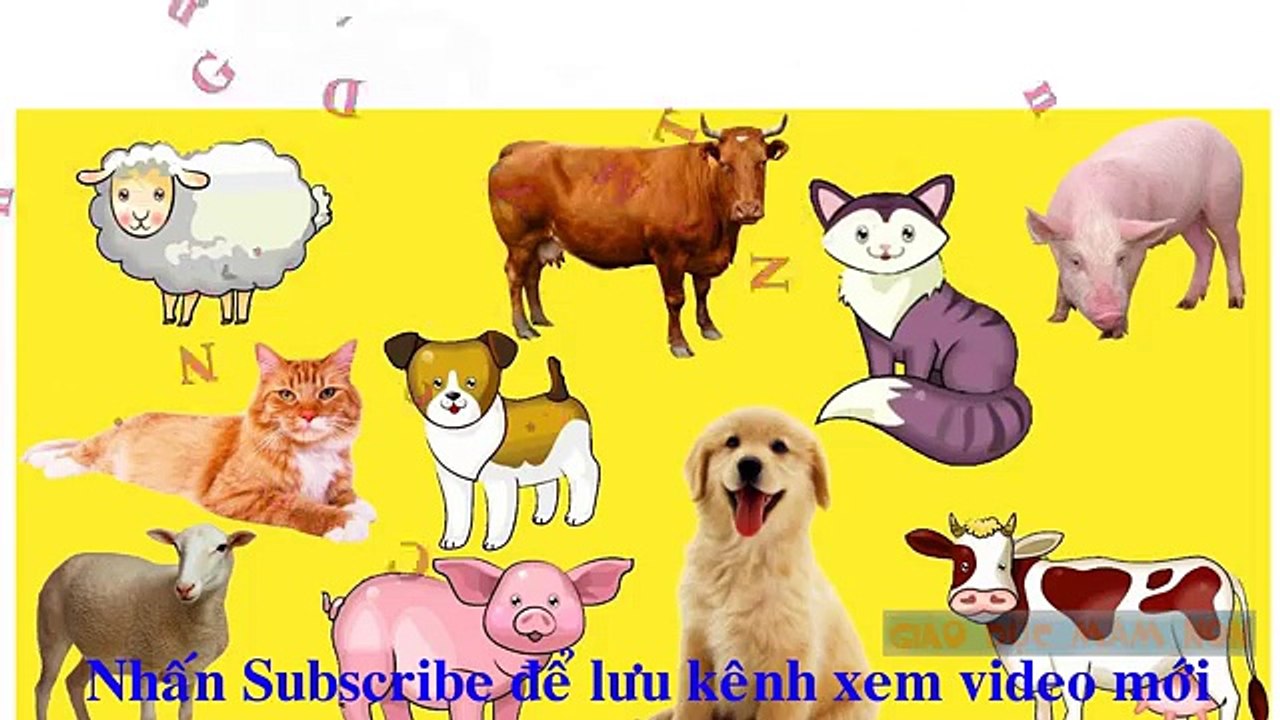 Dạy các con vật trong cuộc sống hay nhất cho bé | Dạy bé học online 1