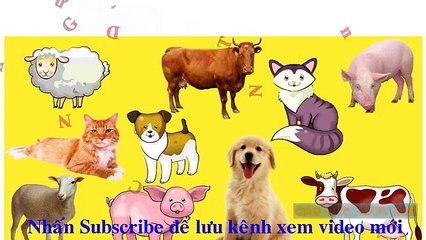 Dạy các con vật trong cuộc sống hay nhất cho bé | Dạy bé học online 1