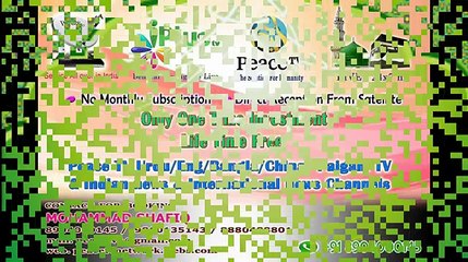 Kya Har Musalman Mard Ko Daadhi Rakhna Zaruri Hai