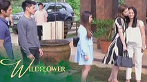 Wildflower: Ivy reunites with her family | EP 130