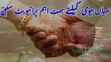 Miyan Biwi Keliye Bohat Aham Private Sabq