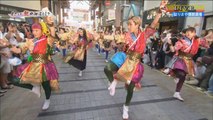 TEMPURA KIDZ - Kochi Yosakoi Festival 2017 (News)