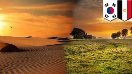 South Korea and Egypt team up to turn desert into farmland