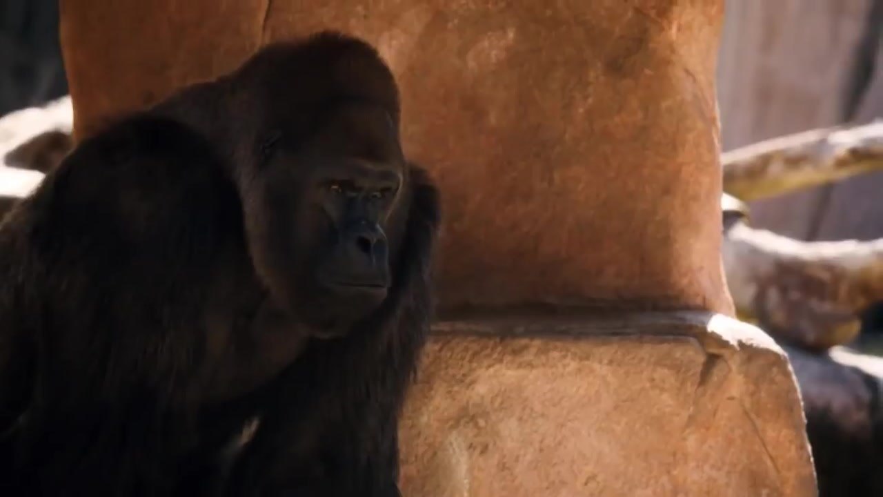 Watch Zoo - Season 3 Episode 10 Full Watch Episode HQ
