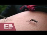 Dengue y chikungunya se ensañan con Guerrero, Oaxaca y Chiapas/ Vianey Esquinca