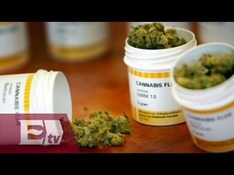 ¿Cuáles son las consecuencias de usar el cannabis? / Ingrid Barrera