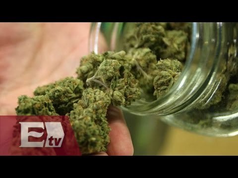 Fallo de Suprema Corte abre la puerta a uso recreativo de mariguana / Pascal Beltrán