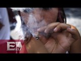 SCJN avala consumo lúdico de marihuana a cuatro personas/ Vianey Esquinca