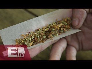No buscamos fomentar el consumo de la mariguana: MUCD / Ricardo Salas