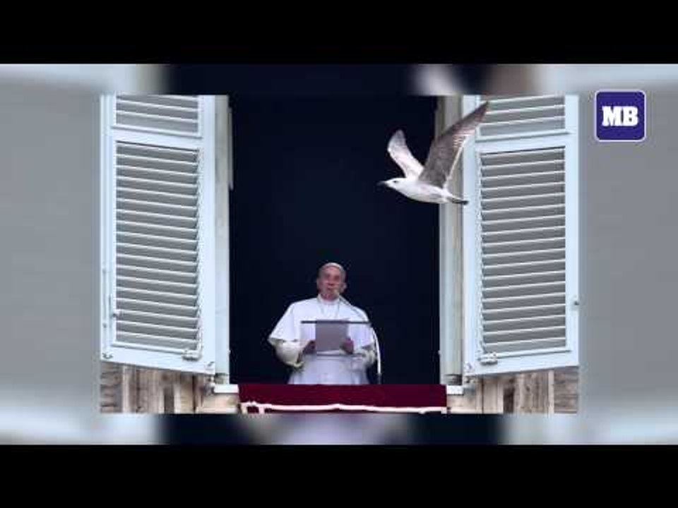 Plain and Simple | #PopeFrancisPH