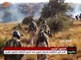 الجيش السوري والمقاومة يواصلان التقدم في المحور ...