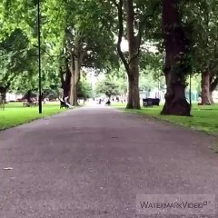 Smooth Ride & Great Speed – Joops Electric Scooter For Adults