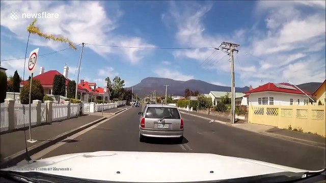 Chicken crosses road and causes car accident