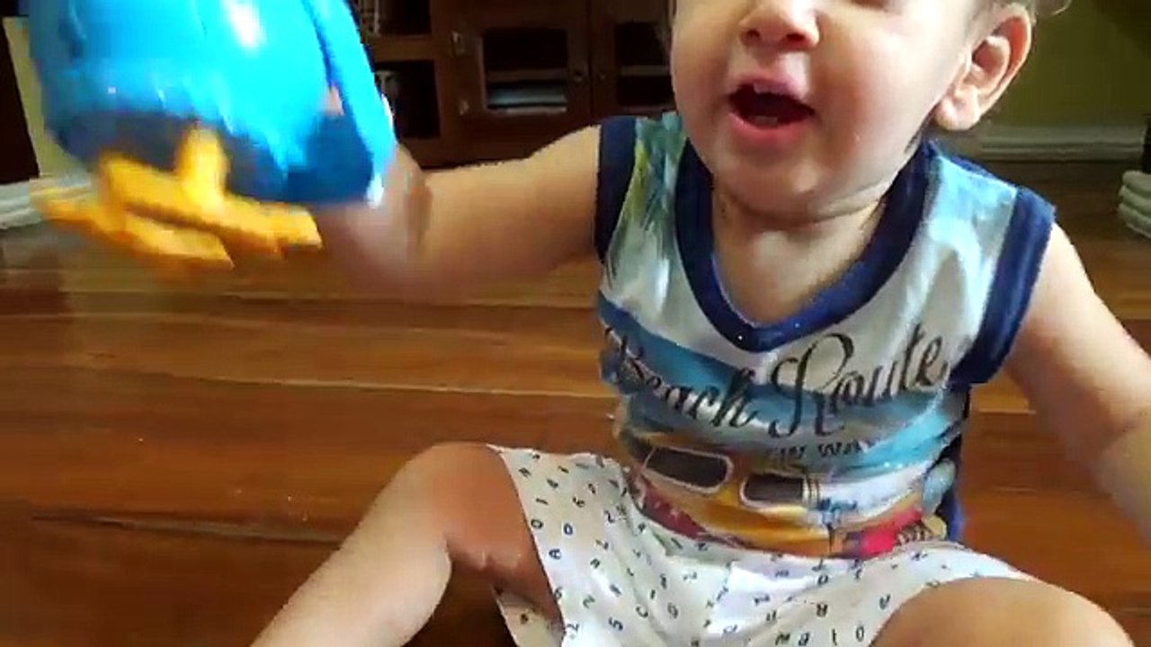 Galinha Pintadinha - Galinheiro Musical Borboletinha Pintinho Amarelinho Brinquedos Toys