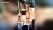 Pug owner recreates solar eclipse with pets