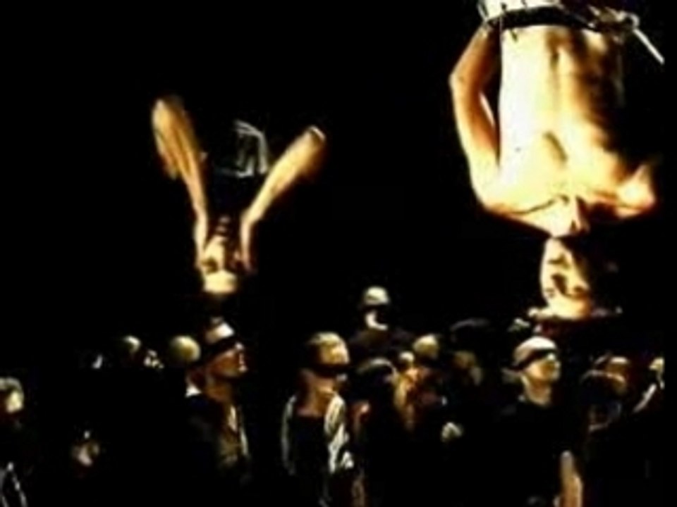 LOFOFORA amne's History