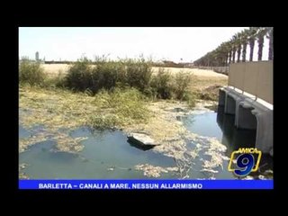 Barletta | Canali mare, nessun allarmismo