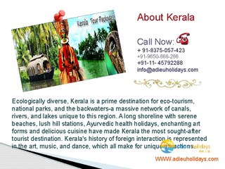 Adieu Holidays Pvt.Ltd. Presentation