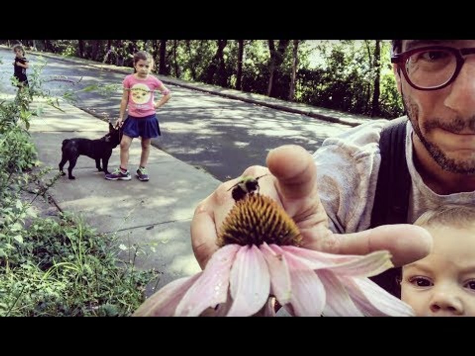 Dad Gets a Bee-Hive Five