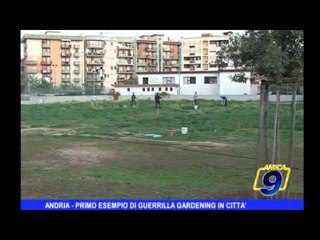 ANDRIA | Primo esempio di guerrilla gardening
