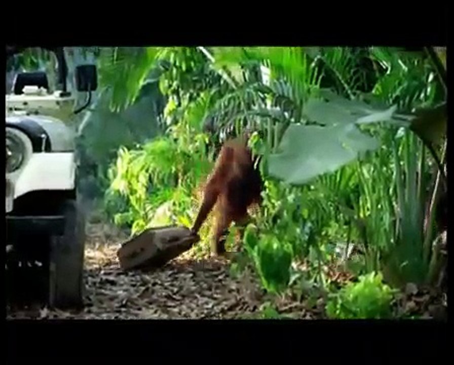 VID-20170721-WA0006