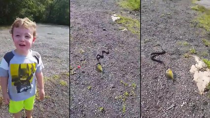 Un enfant se fait voler son poisson fraichement peché par un serpent