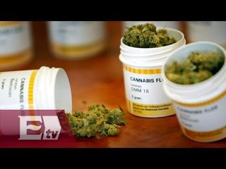 Proponen en el Senado importar marihuana para uso medicinal/ Vianey Esquinca