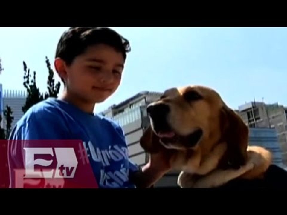 Perros detectan niveles anormales de glucosa en diabéticos/ Atalo Mata