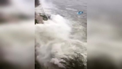 Hato Tayfunu, Hong Kong'u Vurdu