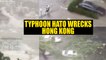Typhoon Hato bring life to standstill in Hong Kong , Watch horrifying videos | Oneindia News