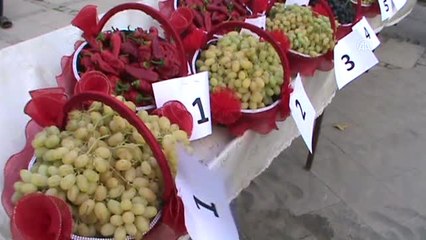 İslahiye Üzümü ve Biberi"Ne Festival