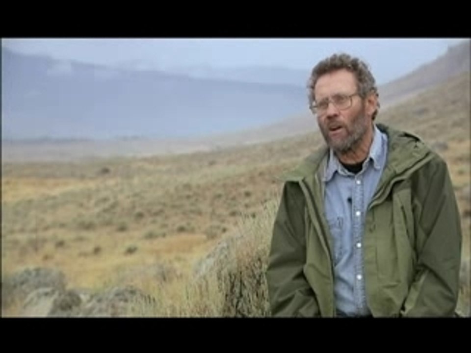 NATURE | In the Valley of the Wolves | Web Exclusive | PBS