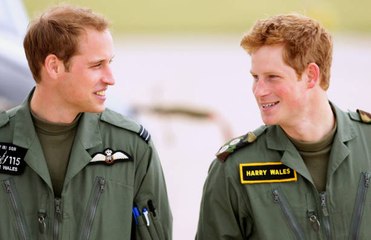 Prince William and Harry reveal response to Diana's death
