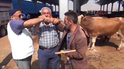 Niğde Hayvan Pazarına Sahte Para Cihazı Konuldu