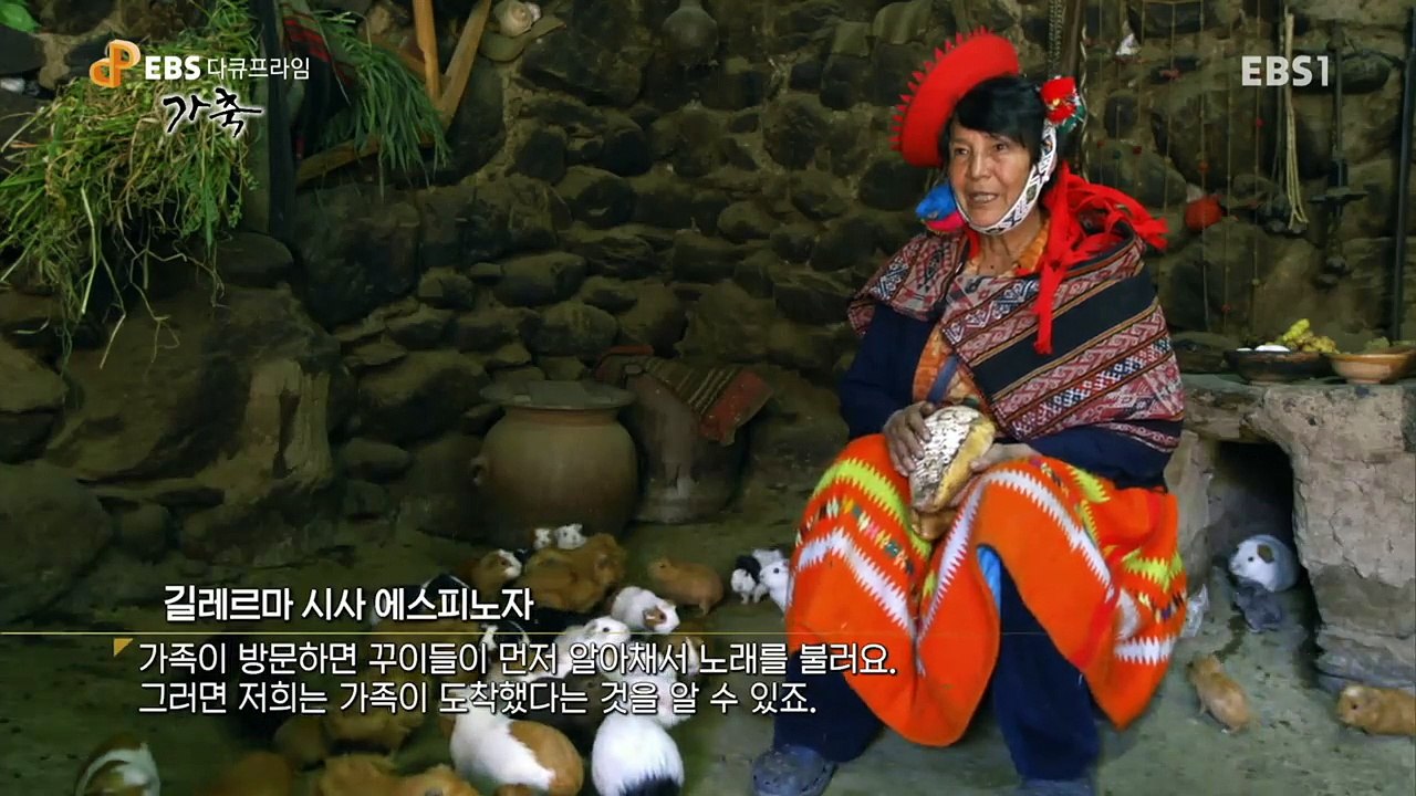 EBS 다큐프라임 - Docuprime_가축 2부- 사치스러운 음식, 젖과 고기_#003