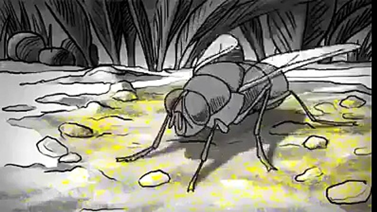 How to avoid Cholera spread?