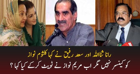 Rana Sanaullah, Saad Rafiq Aur Maryam Ki Baaton Main Tazaad