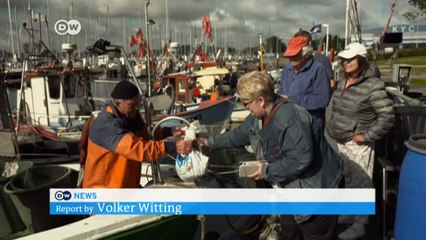 Strande: A stronghold of Germany’s liberals | DW English