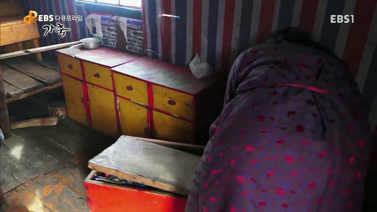 EBS 다큐프라임 - Docuprime_가축 4부- 다큐영화, 아주 오래된 동행_#002