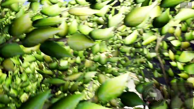 ПОЛИЦЕЙСКАЯ ЛЕГО ПОГОНЯ | ПОЕЗД VS ПОЛИЦИЯ | BRICK RIGS