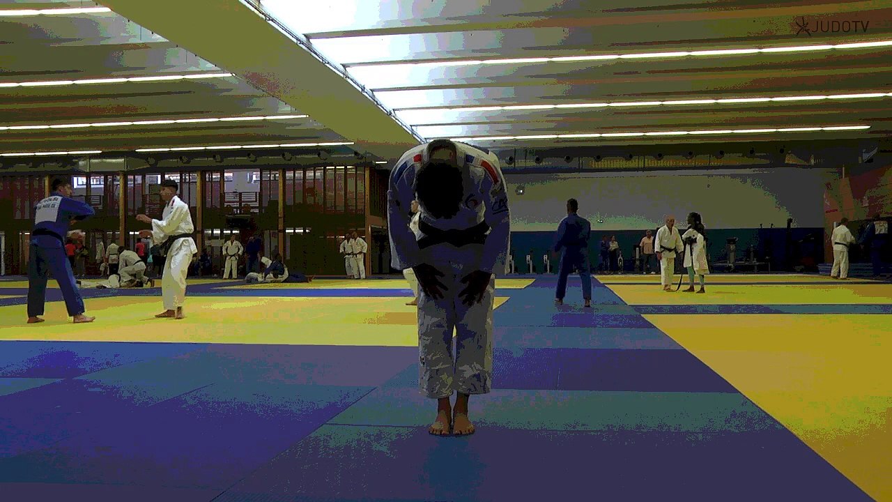 AMANDINE BUCHARD / FAST AND CURIOUS