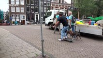 Dog takes skateboarding man for a walk in Amsterdam