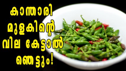 കാന്താരി മുളകിന്റെ വില കേട്ടാല്‍ ഞെട്ടും | Oneindia Malayalam