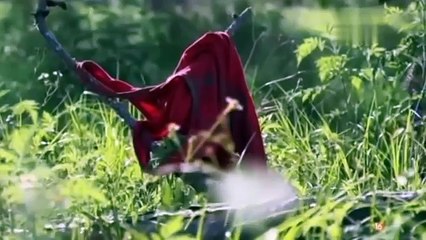 ASESINO EN SERIE Bobby Joe Long  (Documental en Español)