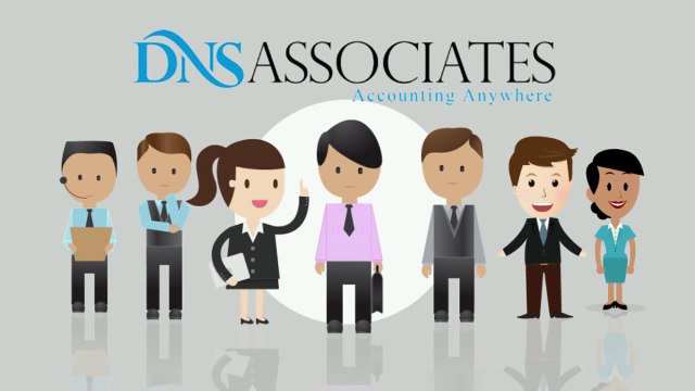 DNS Accounting Services for Small Businesses