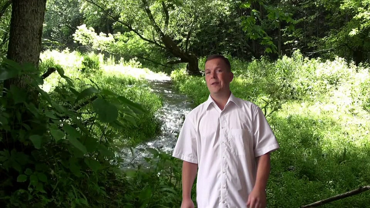 Gedanken im August 2017