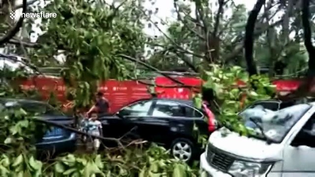 Typhoon Hato batters southern China