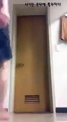 funny clips of chainise grils hd